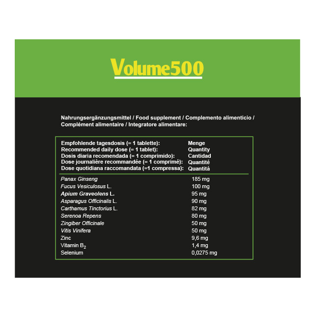 Volume 500