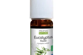 d’huile essentielle d’eucalyptus radié bio, 100 % pure et naturelle, certifiée biologique