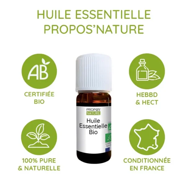Huile Essentielle Eucalyptus Radie – Image 2